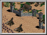 Age of Empires 2 - pic2