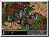 Age of Empires 2 - pic3