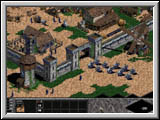 Age of Empires 2 - pic4